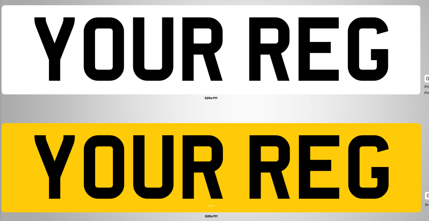 TRADE SALE PAIR OF PLATES